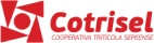 Logo da Cotrisel